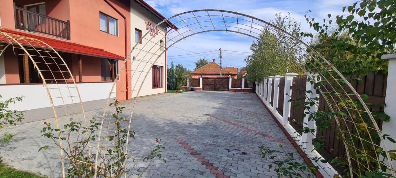 Pensiunea Dara Rîşnov Εξωτερικό φωτογραφία